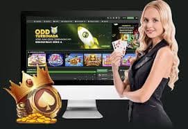 win365